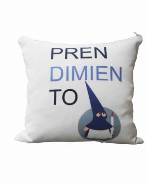 COJIN PERSONALIZADO